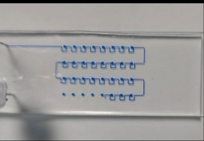 【生物制造前沿速递】华东师范大学赵振杰教授&李欣副教授:微流控芯片上的ZnO纳米结构生长与高灵敏度荧光生物检测哔哩哔哩bilibili