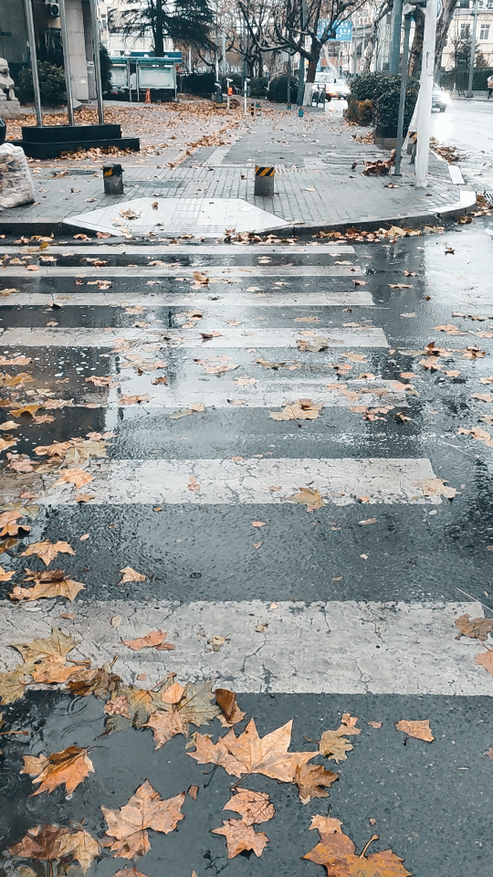 街景 在路上