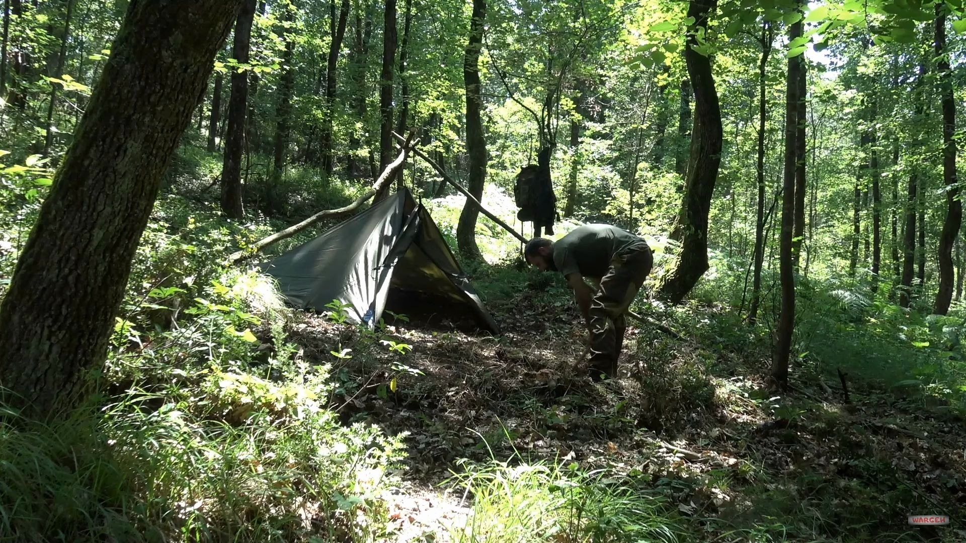 体验户外冒险-2天独行丛林野营帐篷,孤身一人野外生存,发现梅花鹿