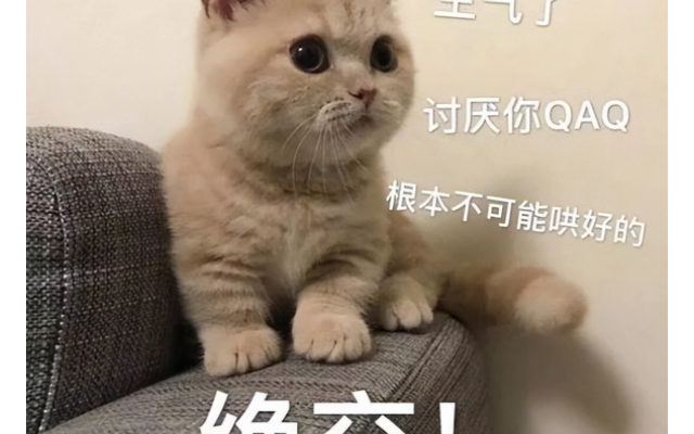 猫咪1326哔哩哔哩bilibili