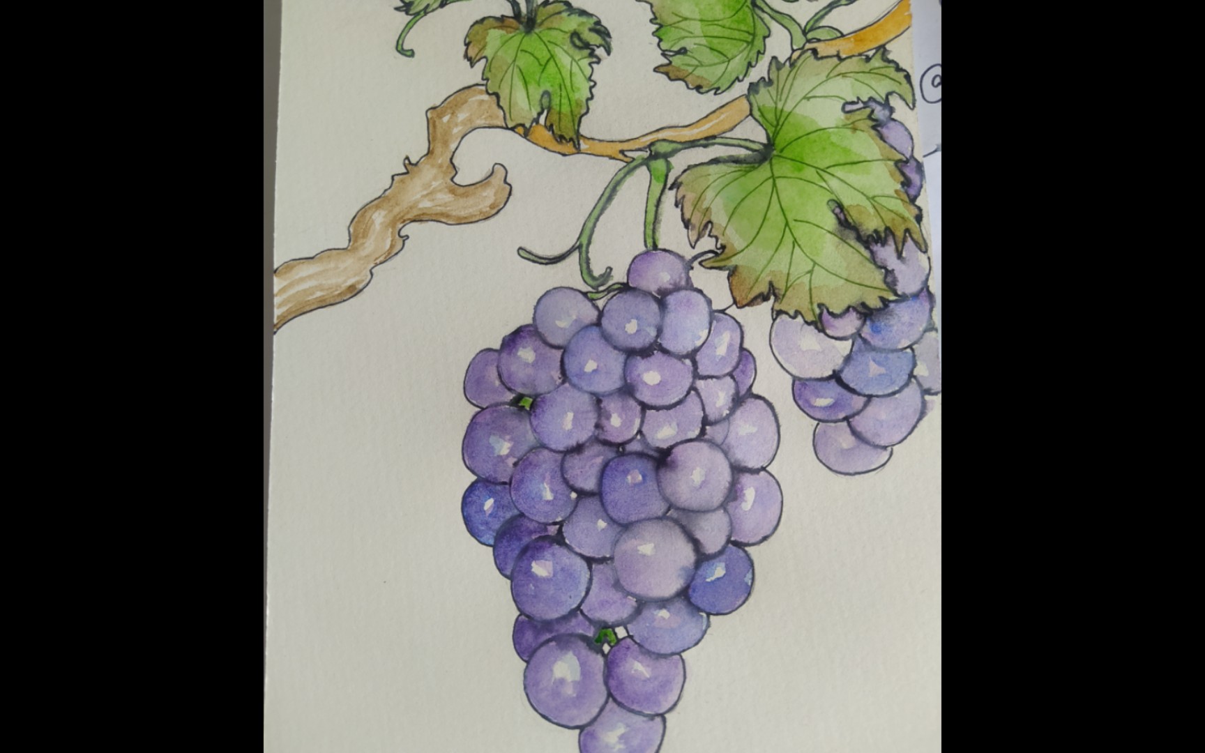 千万别用水性勾线笔画水彩,会糊