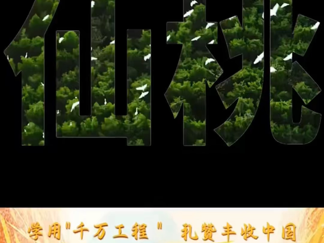 在#中国农民丰收节晚会 主会场,解锁爱上仙桃的N个理由.9月22日晚CCTV1、CCTV17,一起游仙桃、品仙鳝、看丰晚!#丰晚我来啦哔哩哔哩bilibili