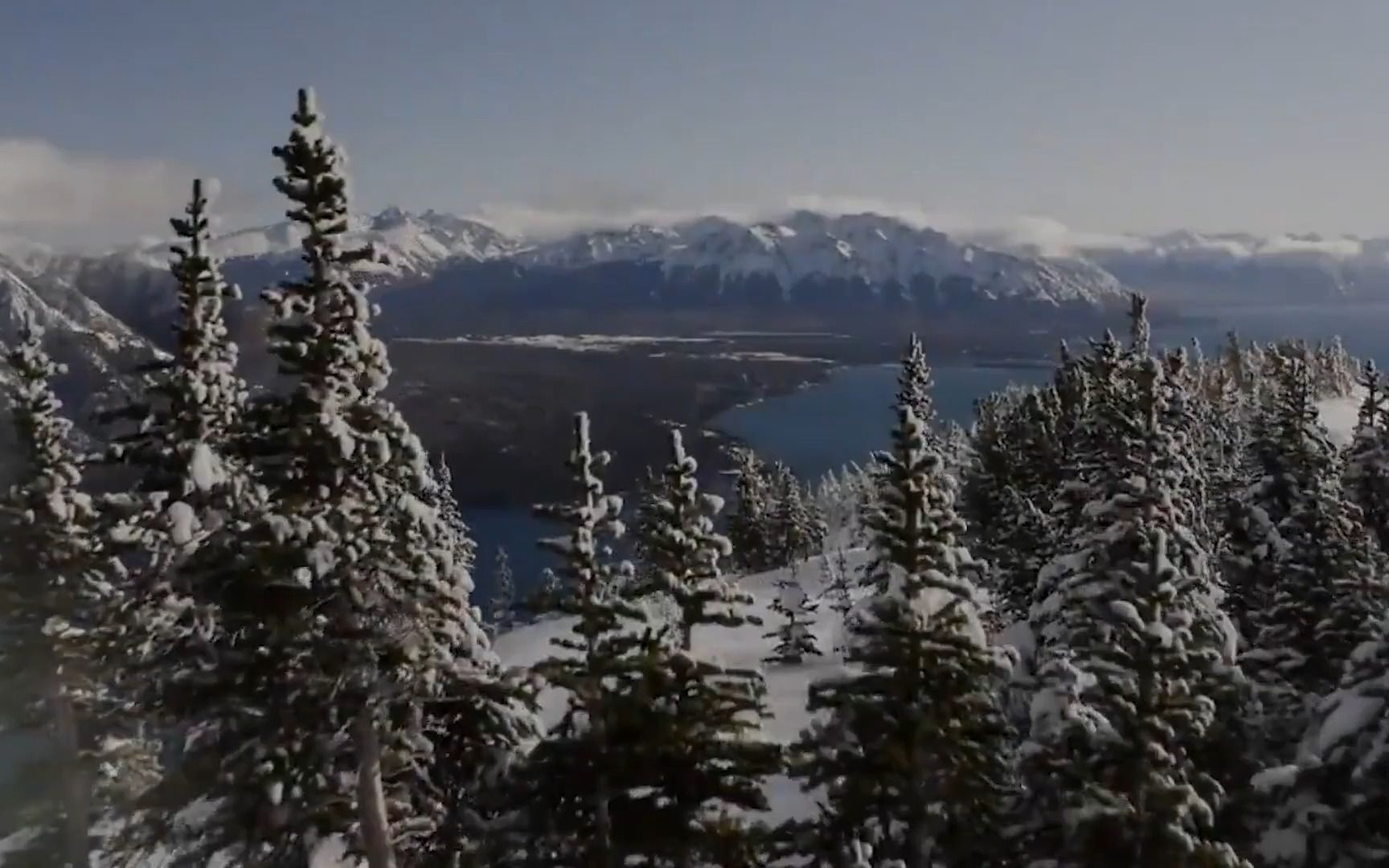 荒野独居84和黑熊在一起在湖里裸泳手艺人做超精致豪华木屋1080p