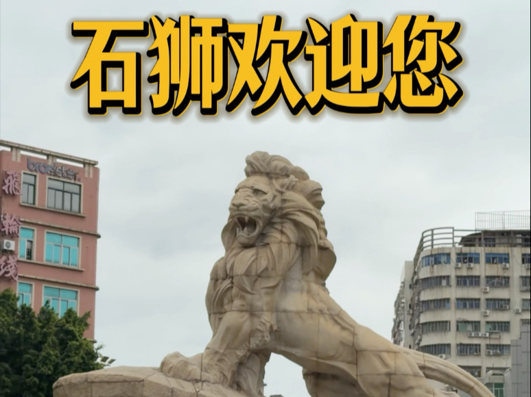 石狮市有四十四只石狮子?反正红绿灯很多!