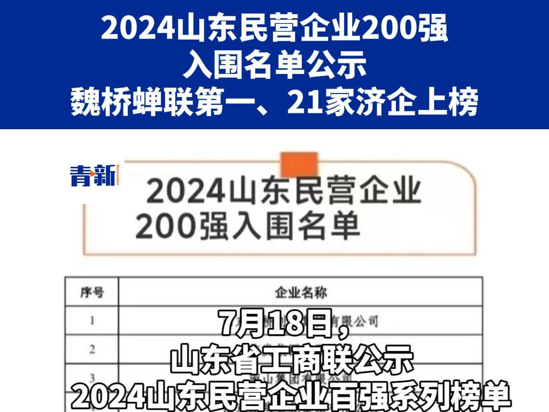 2024山东民营企业200强入围名单公示 魏桥蝉联第一、21家济企上榜哔哩哔哩bilibili