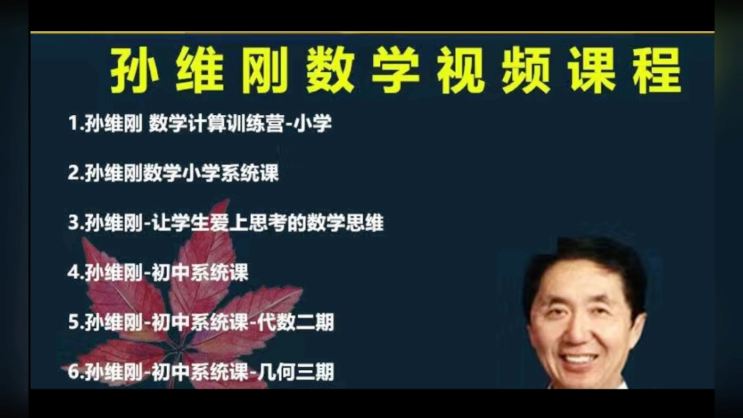 孙维刚数学高效学习法小学初中高中全套数学辅导网课教学视频哔哩哔哩bilibili