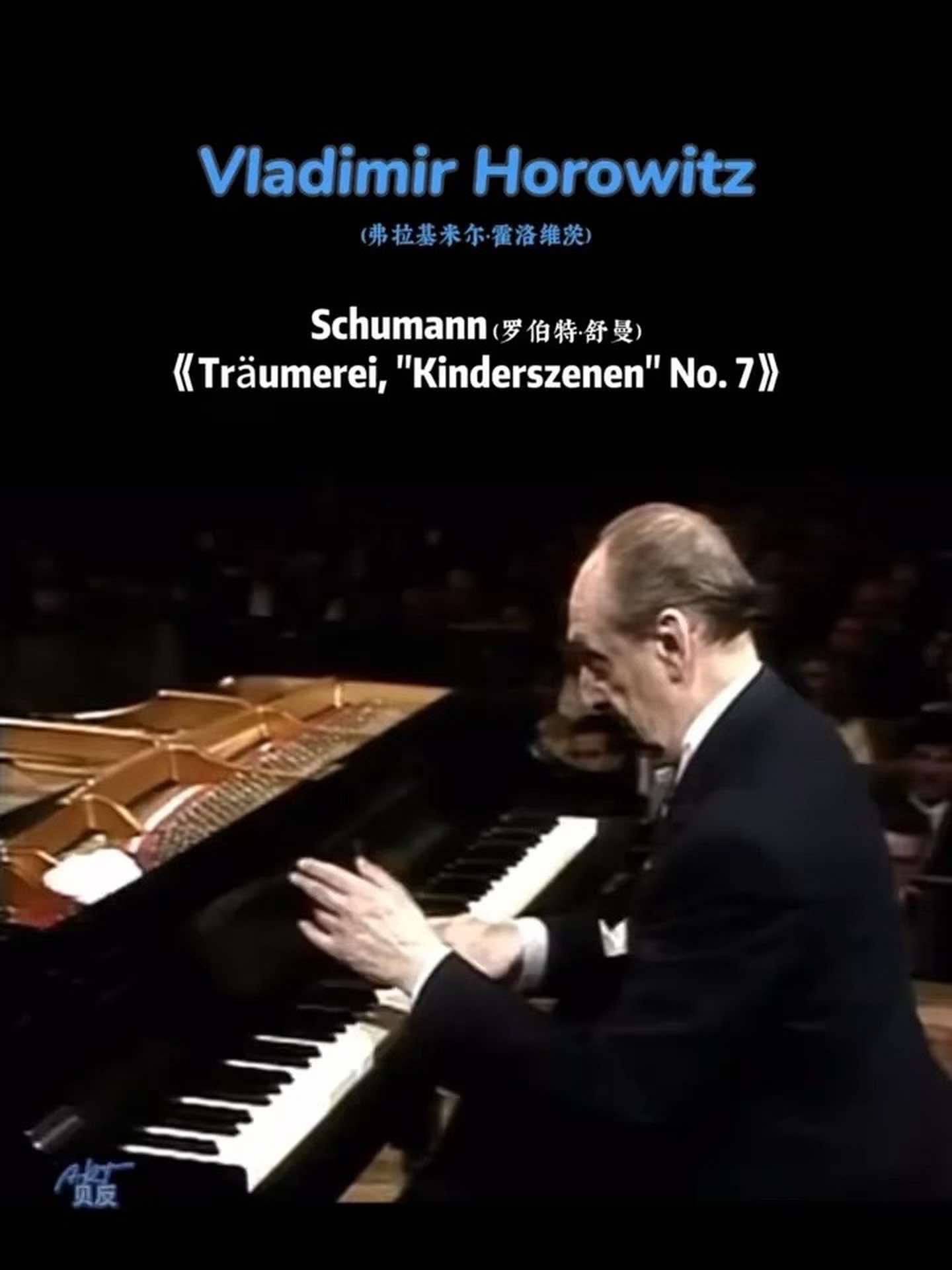 舒曼梦幻曲|traumerei,kinderszenen, no.