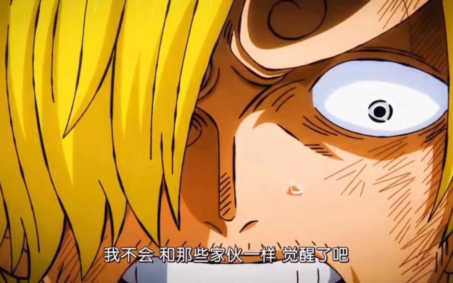 山治觉醒 全新实力路飞的左膀右臂 海贼王