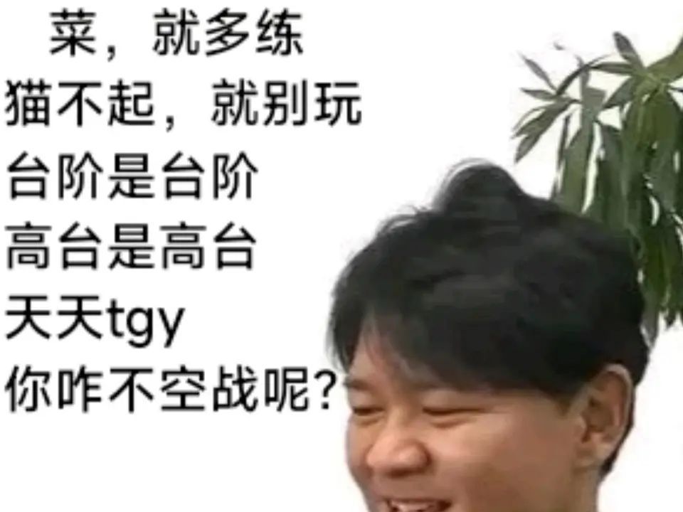 这也是tgy的一个侧面哔哩哔哩bilibili怪物猎人