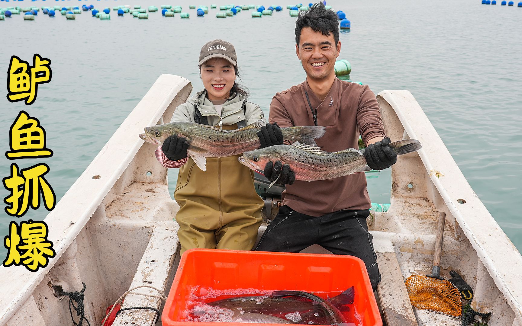 赶海放延绳钓抓鱼,5斤大鲈鱼一条接一条,今天收获顶过去一个月