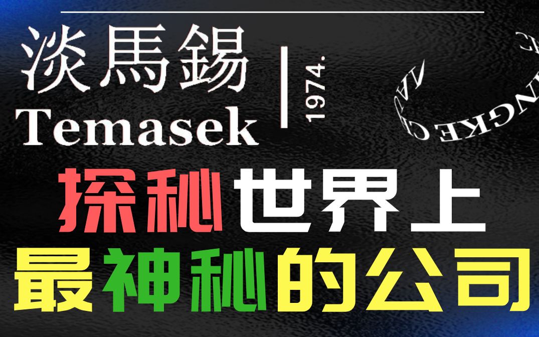 富可敌国的超级企业,外界却鲜为人知,看华人女CEO是如何带领淡马锡称霸全球的.哔哩哔哩bilibili