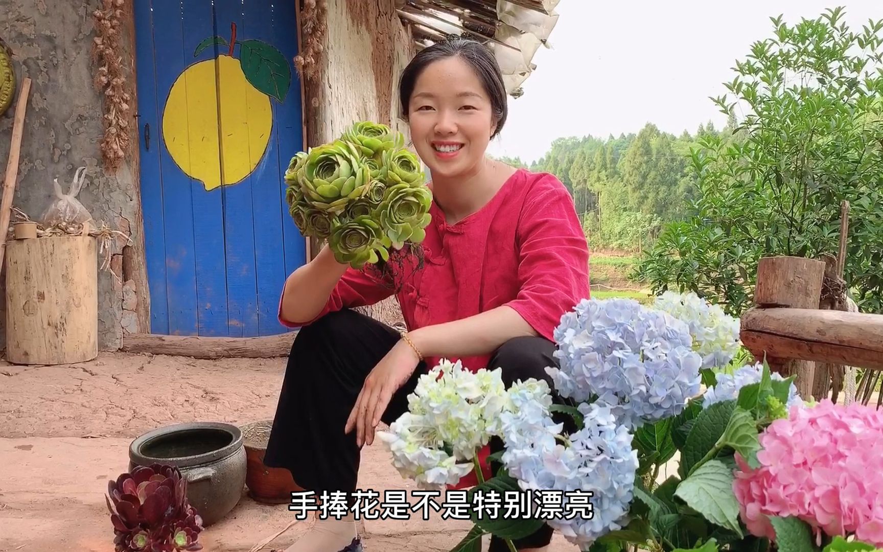 农村种花花盆不用买,废弃的坛坛罐罐,种多肉太漂亮了哔哩哔哩bilibili