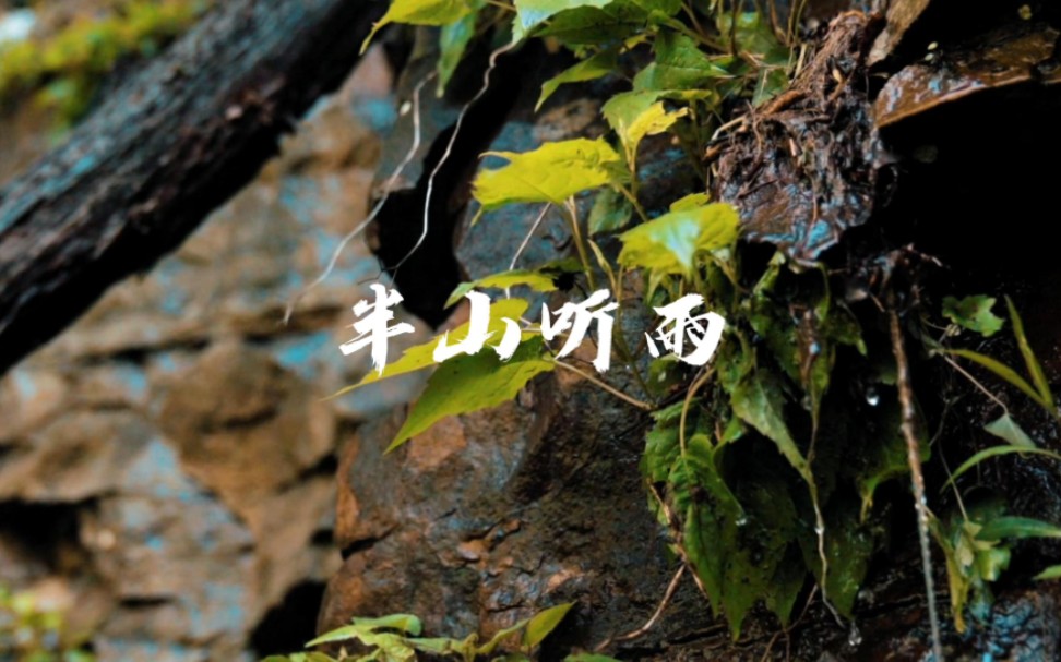 《半山听雨》半山听雨涤尘心,琴声幽幽雨声和