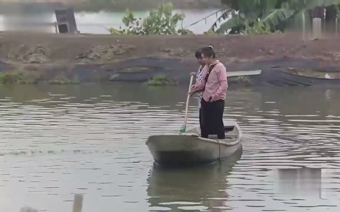 [图]草鱼遍天下，为啥就是渔大脆鲩的脆肉鲩吃了三个月蚕豆就变脆了呢？