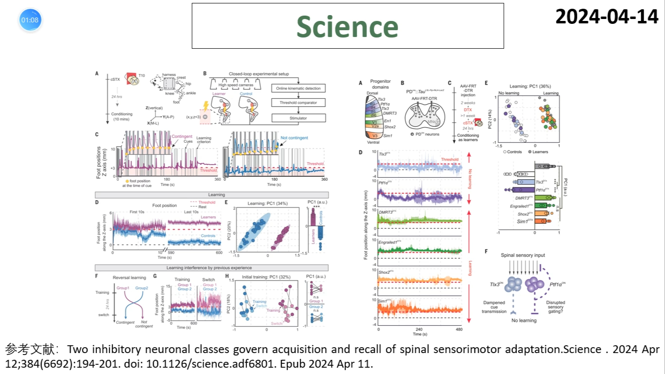 Science—不只有大脑能学习,脊髓也能学习!哔哩哔哩bilibili