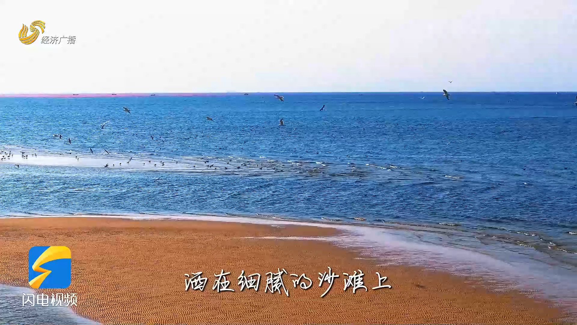 鸥翔戏碧波 海天共秋色哔哩哔哩bilibili