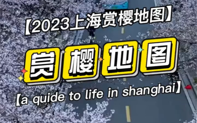 [图]接下来的1个月，上海将进入zui佳赏期。今年再也不要错过这份春日美好了！！要知道，世界上樱花有300多个品种，中国就有有50种。