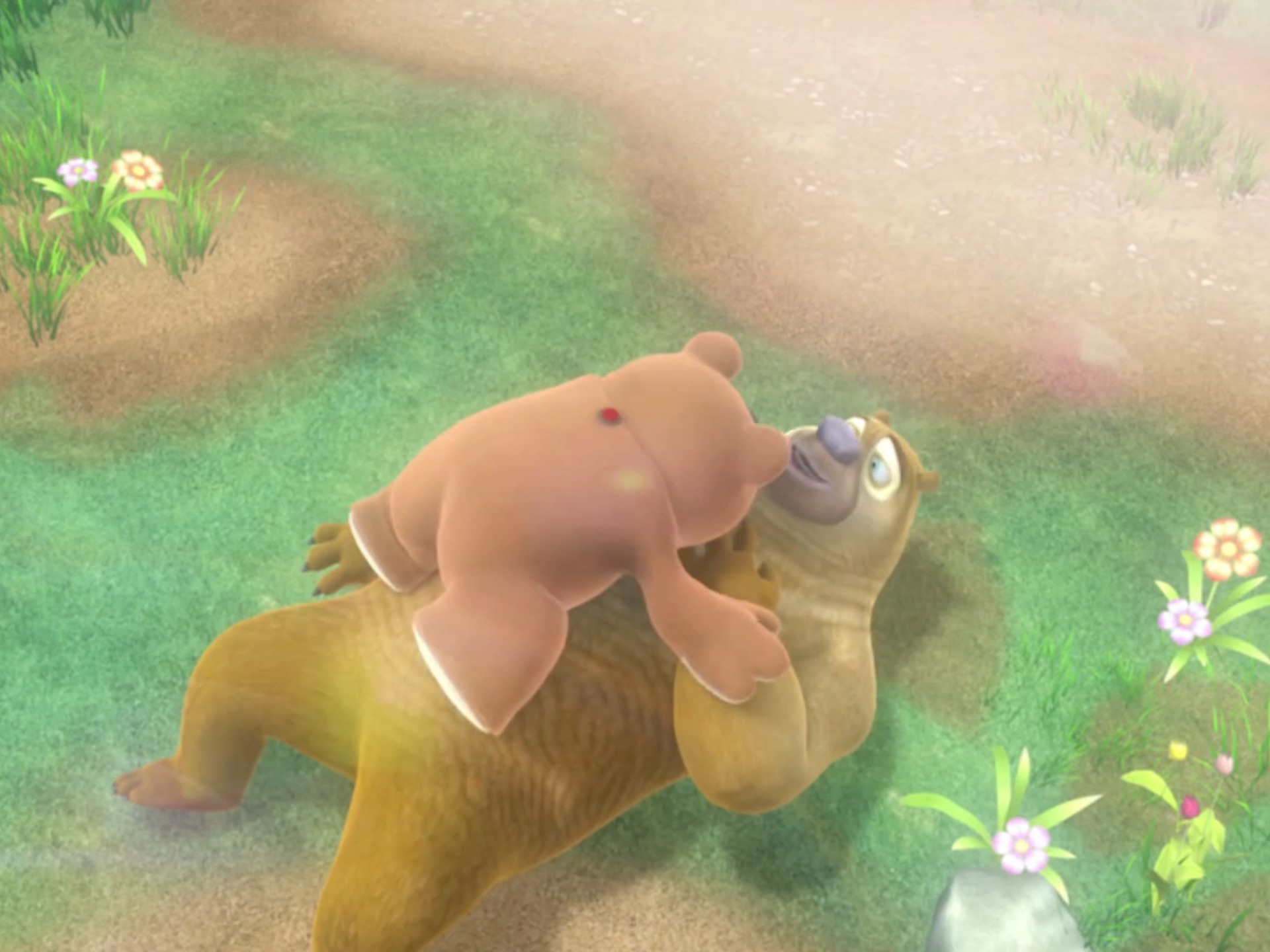 早上起来看一集熊出没《呆呆熊