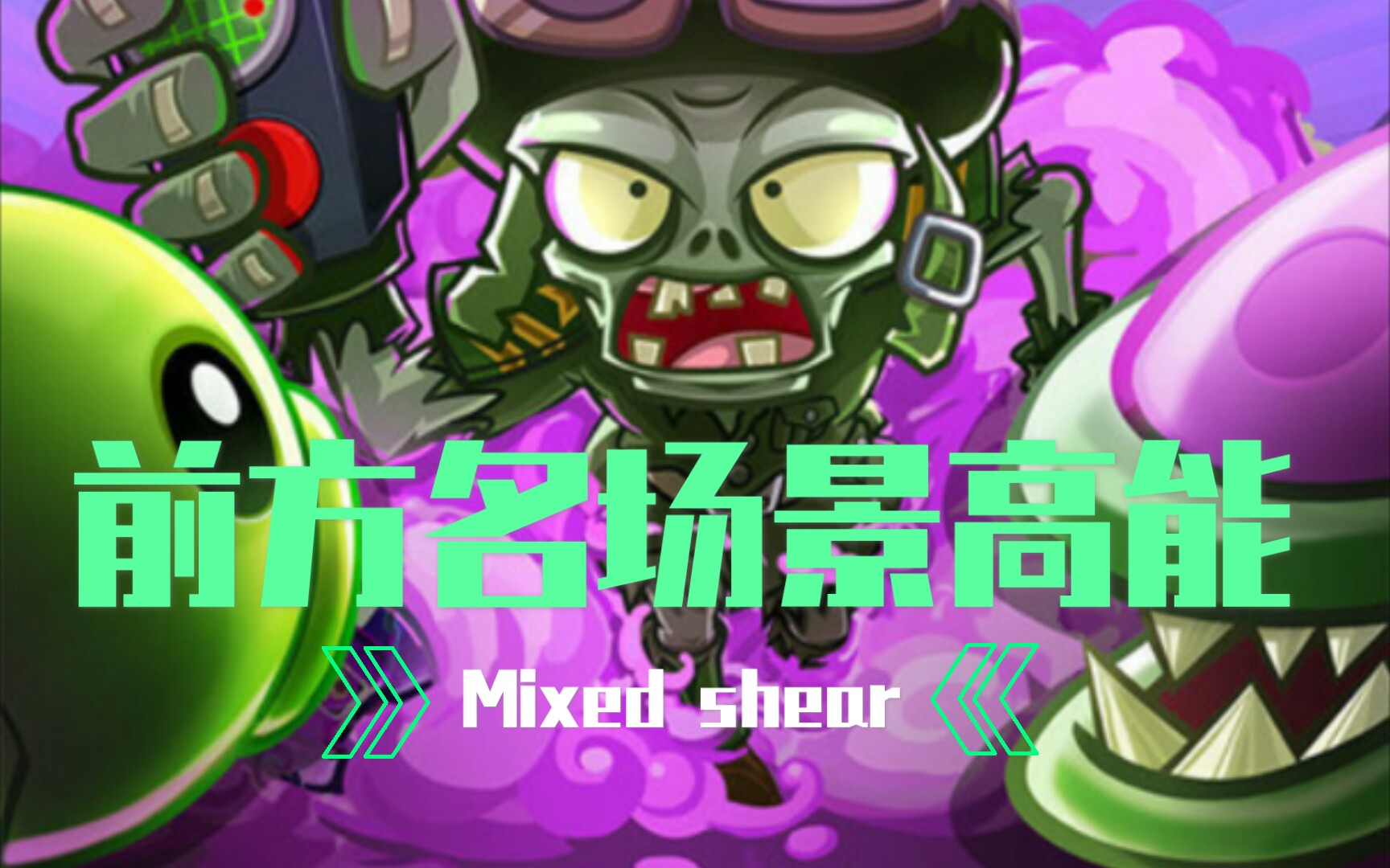 花园战争1(第一场战斗)