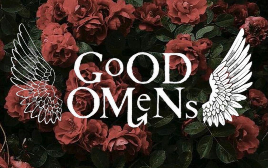 【好兆头/ca】you belong with me