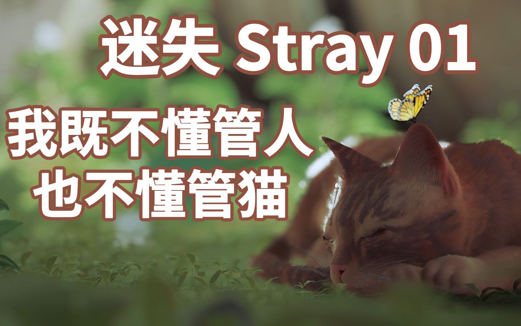 我既不懂管人,也不懂管猫 迷失 Stray 第1期哔哩哔哩bilibili游戏集锦