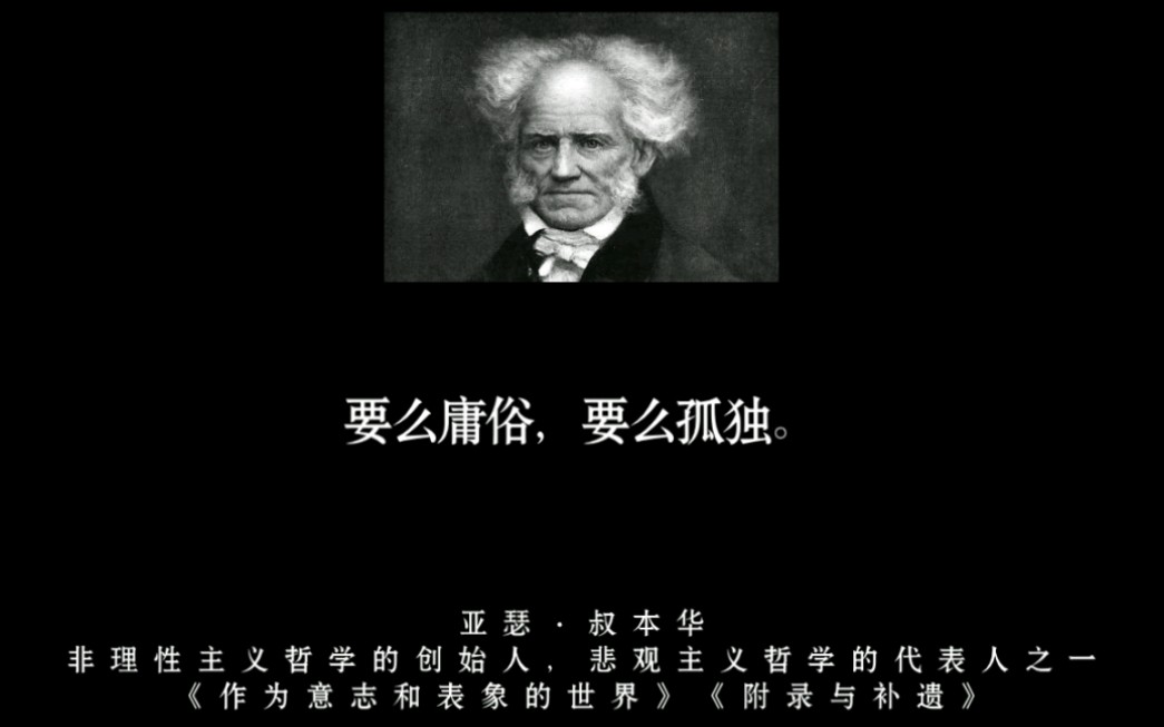 哲学大佬叔本华关于“孤独、人性、人生、生命”的经典句子.| 人要么庸俗,要么孤独.哔哩哔哩bilibili