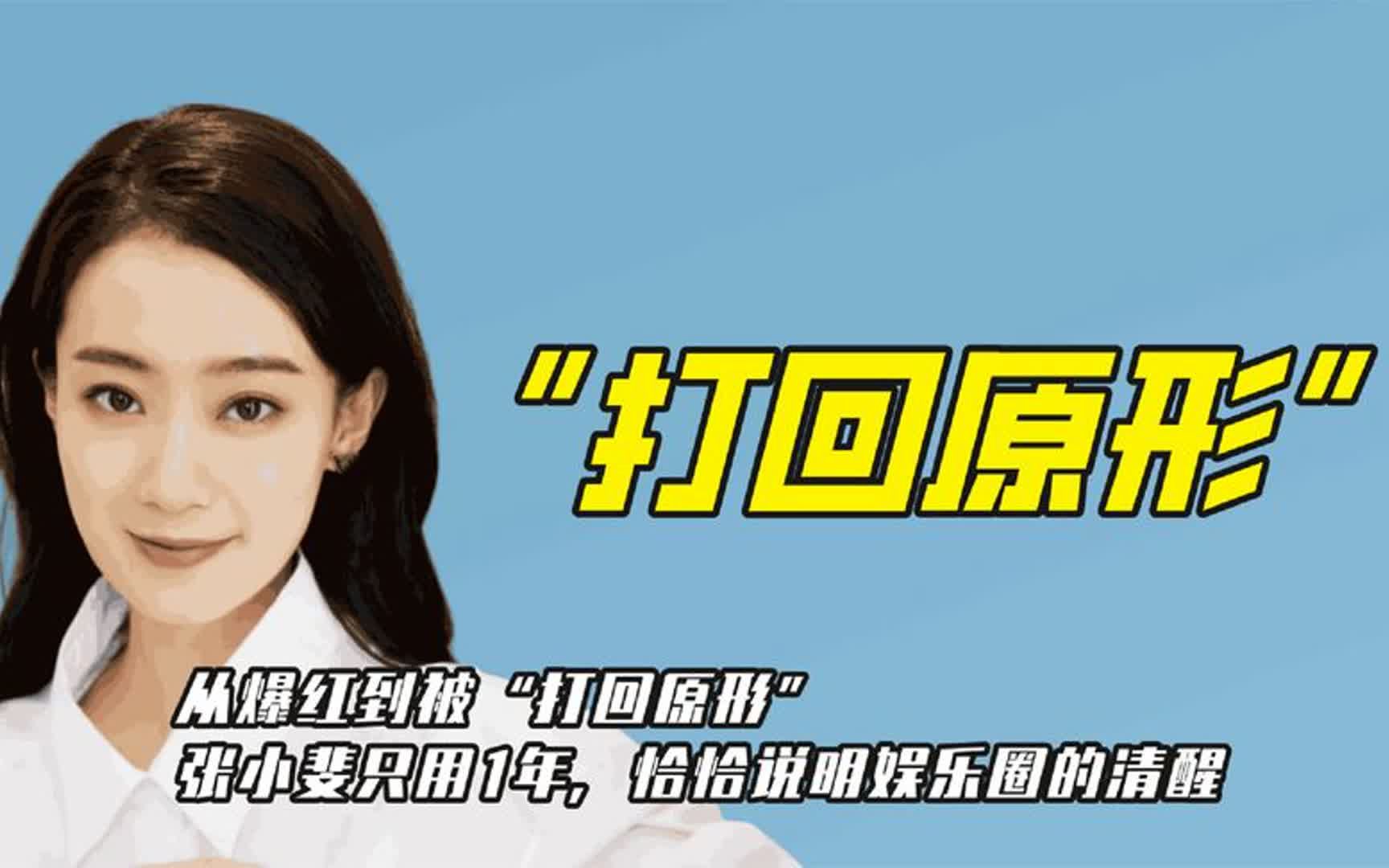 从爆红到被“打回原形”,张小斐为何只用1年,看她做了什么?哔哩哔哩bilibili