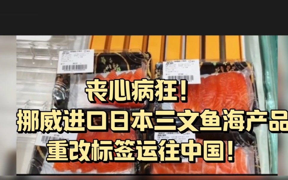 挪威进口日本三文鱼海产品,改标签运往中国市场!哔哩哔哩bilibili