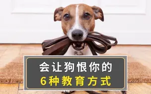 Télécharger la video: 会让狗恨你的6种教育方式