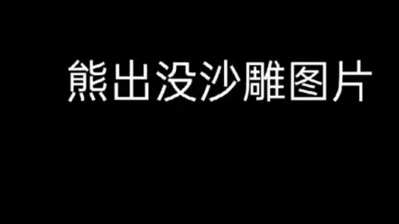 熊出没沙雕图片哔哩哔哩bilibili