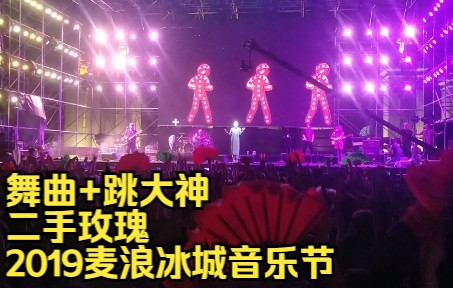 [图]舞曲+跳大神 二手玫瑰 2019麦浪冰城音乐节