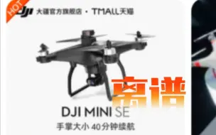 Download Video: 淘宝上离谱的 DJI MINI SE，然后我把这客服撅了。