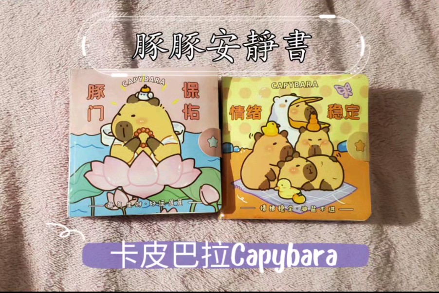 抑郁症患者做的安静书14(豚豚卡皮巴拉Capybara系列豚门保佑和格橘打开)哔哩哔哩bilibili