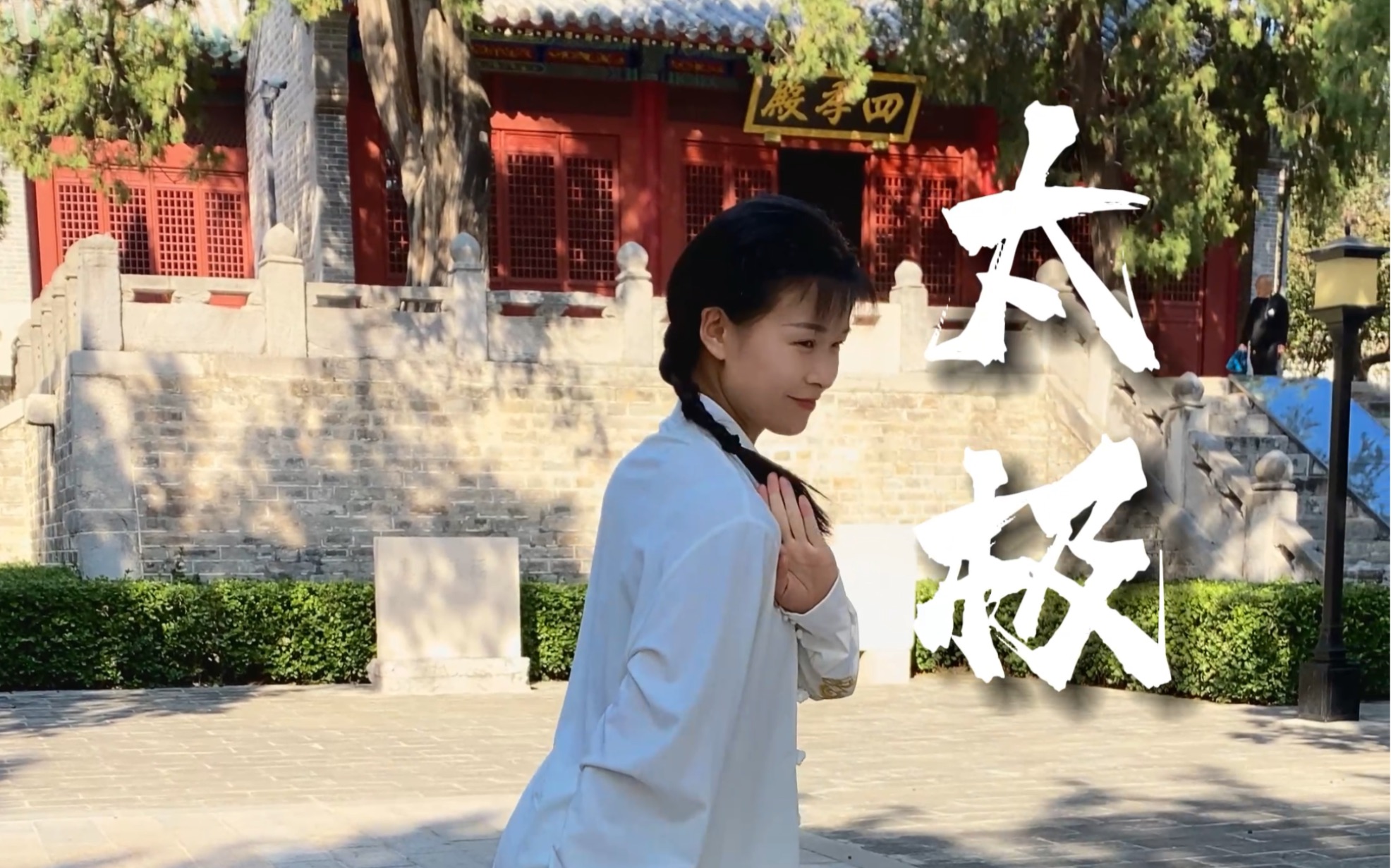 太极拳实战48散手,重如霹雷,形如捉兔之鹘,神如捕鼠之猫