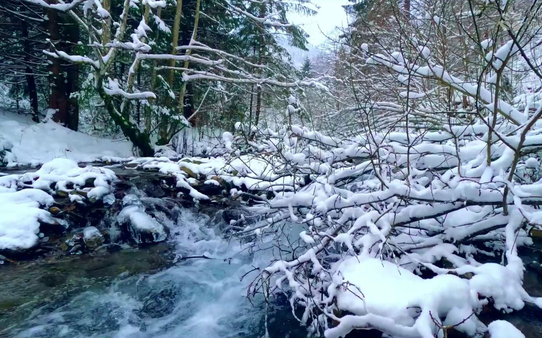 白雪覆盖的森林. 冬天美丽的河流. 1小时的河流.哔哩哔哩bilibili