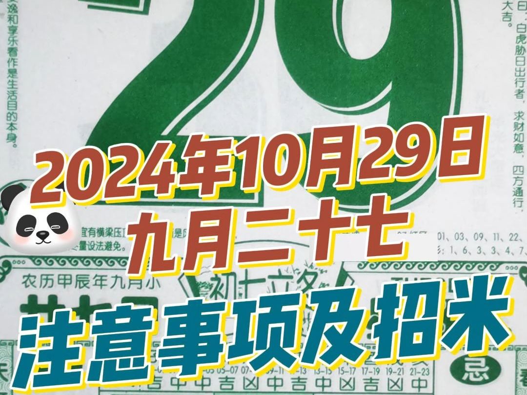 长生教你查黄历解读诸事事项10月29日(九月二十七)好运连连、每日穿搭哔哩哔哩bilibili