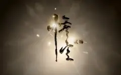 《悟空》—收录于贰婶原创专辑「不贰」
