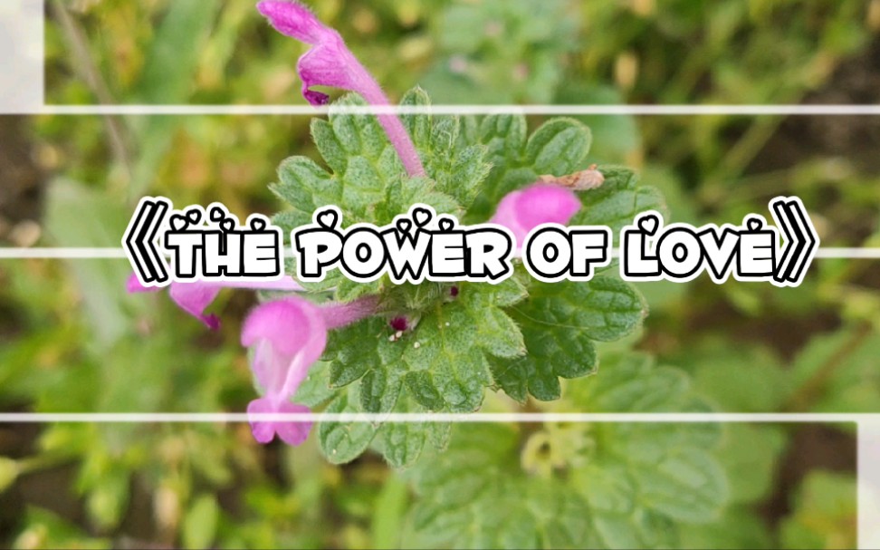 [图]《the power of love》