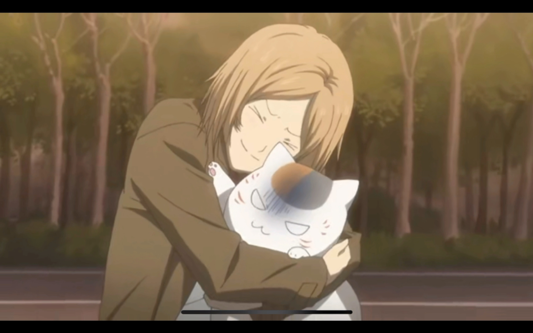 夏目友人帐|猫咪老师&多轨,一个重度猫控的日常