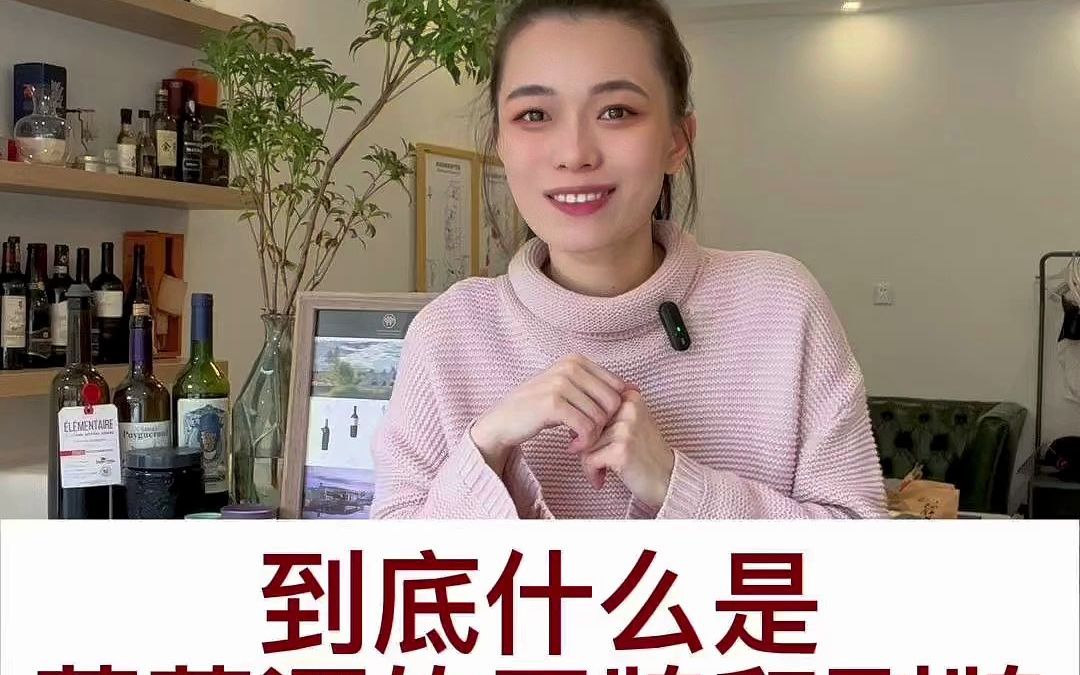 到底什么是葡萄酒的正牌和副牌?哔哩哔哩bilibili