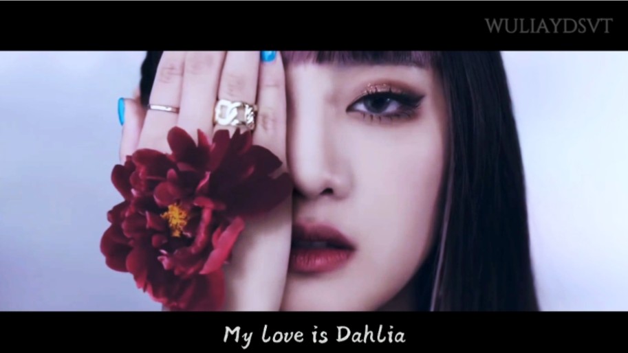 自制非主打MV|DAHLIA(大丽花)哔哩哔哩bilibili