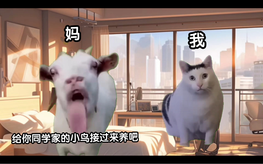 【猫meme】接小鸟篇~哔哩哔哩bilibili