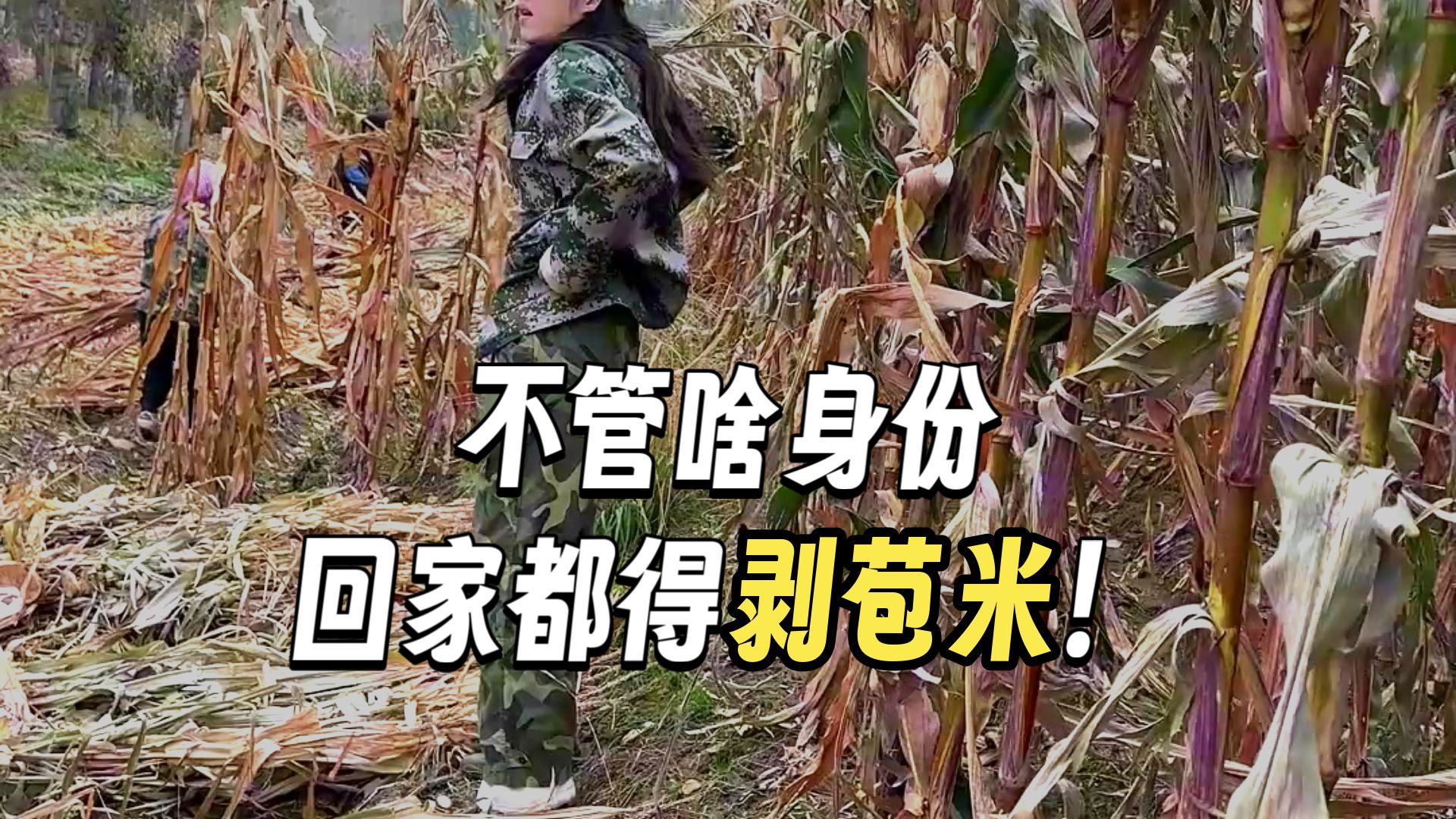 东北孩子不管在外面多有实力，十月一都得回家扒苞米