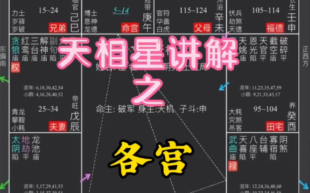 紫微斗数之印星:天相星-东紫微斗数十四年经验-东紫微斗数十四年经验-哔哩哔哩视频