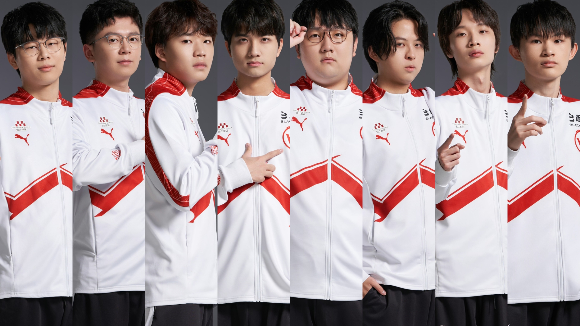 年总动态mvp回顾