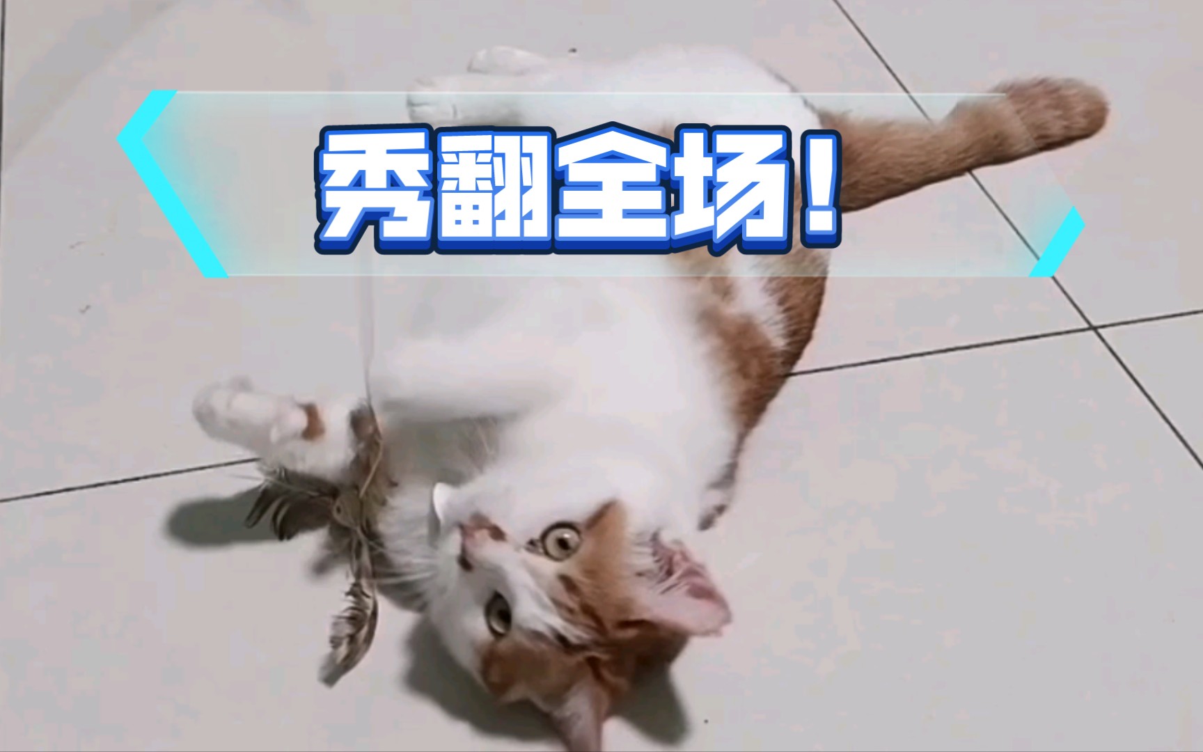 《活泼》哔哩哔哩bilibili