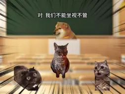 Download Video: 这才是热血的青春