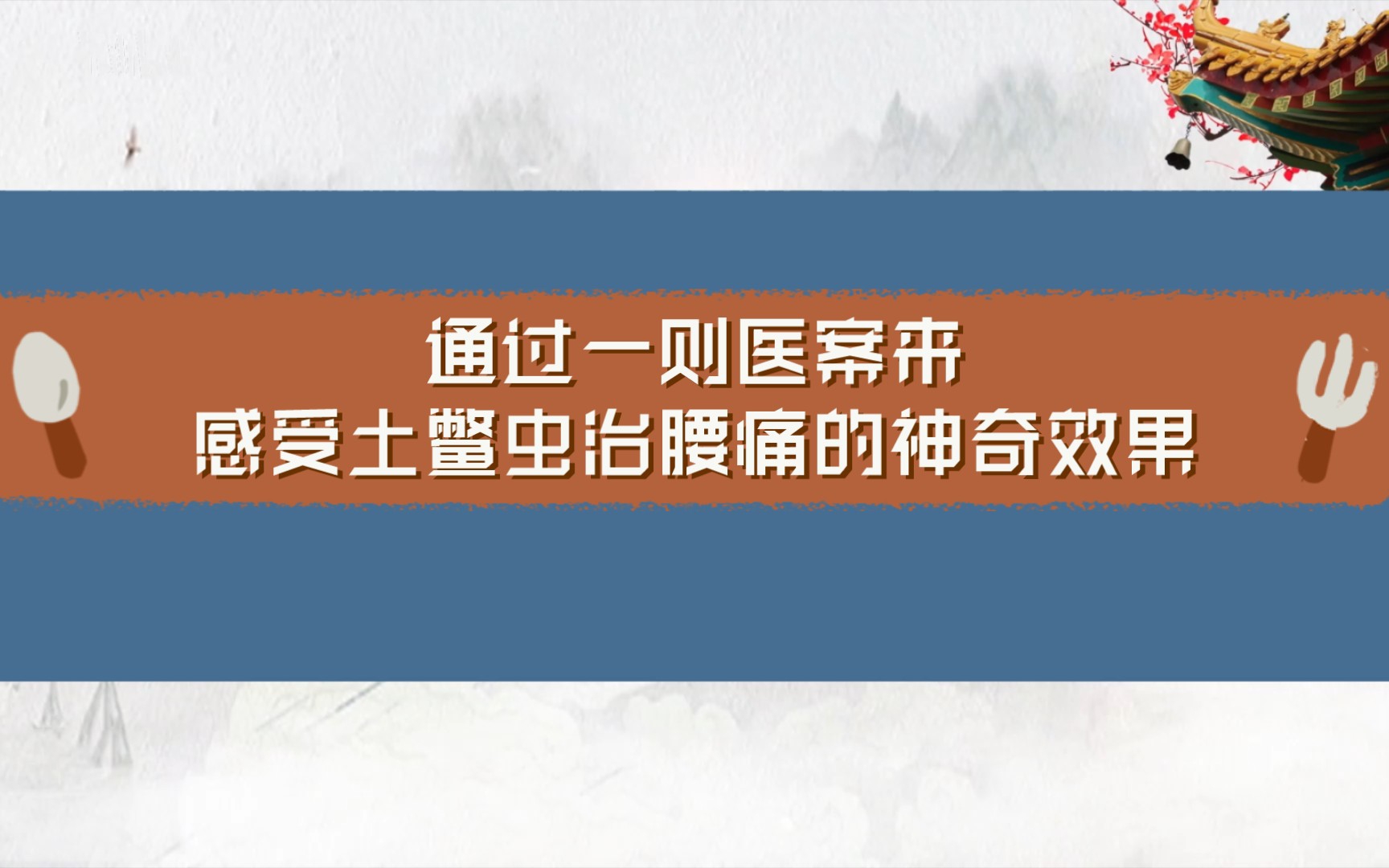 通过一则医案来感受土鳖虫治腰痛之神哔哩哔哩bilibili