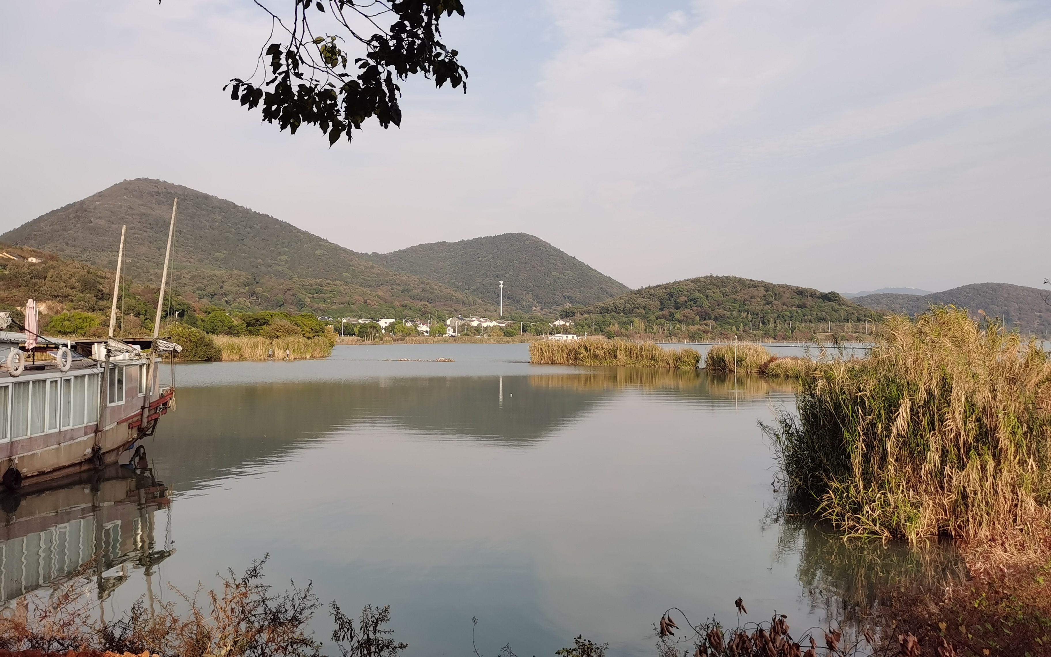 苏州光福石壁永慧禅寺,清净、养心的好地方哔哩哔哩bilibili