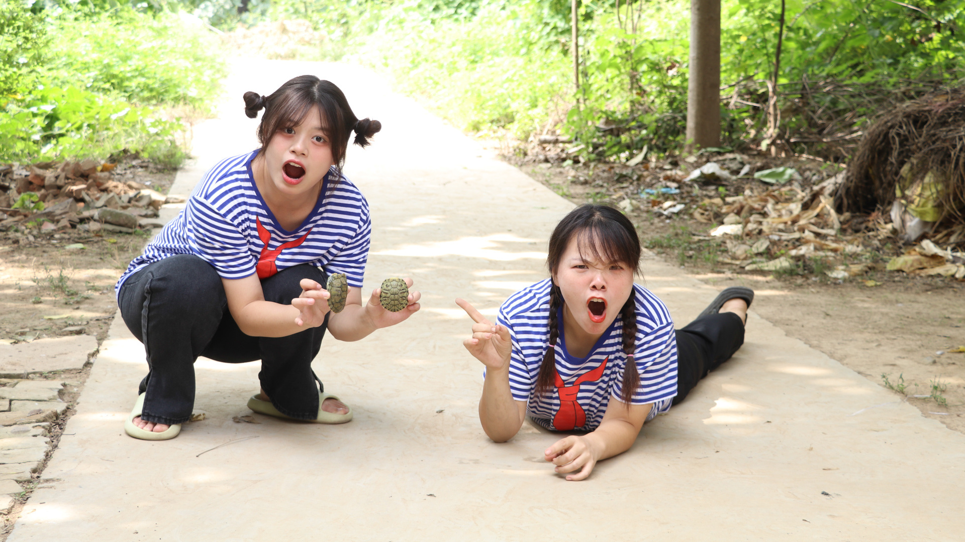 小乌龟1:圆圆和小美捡到流浪的乌龟,小乌龟无家可归真可怜!